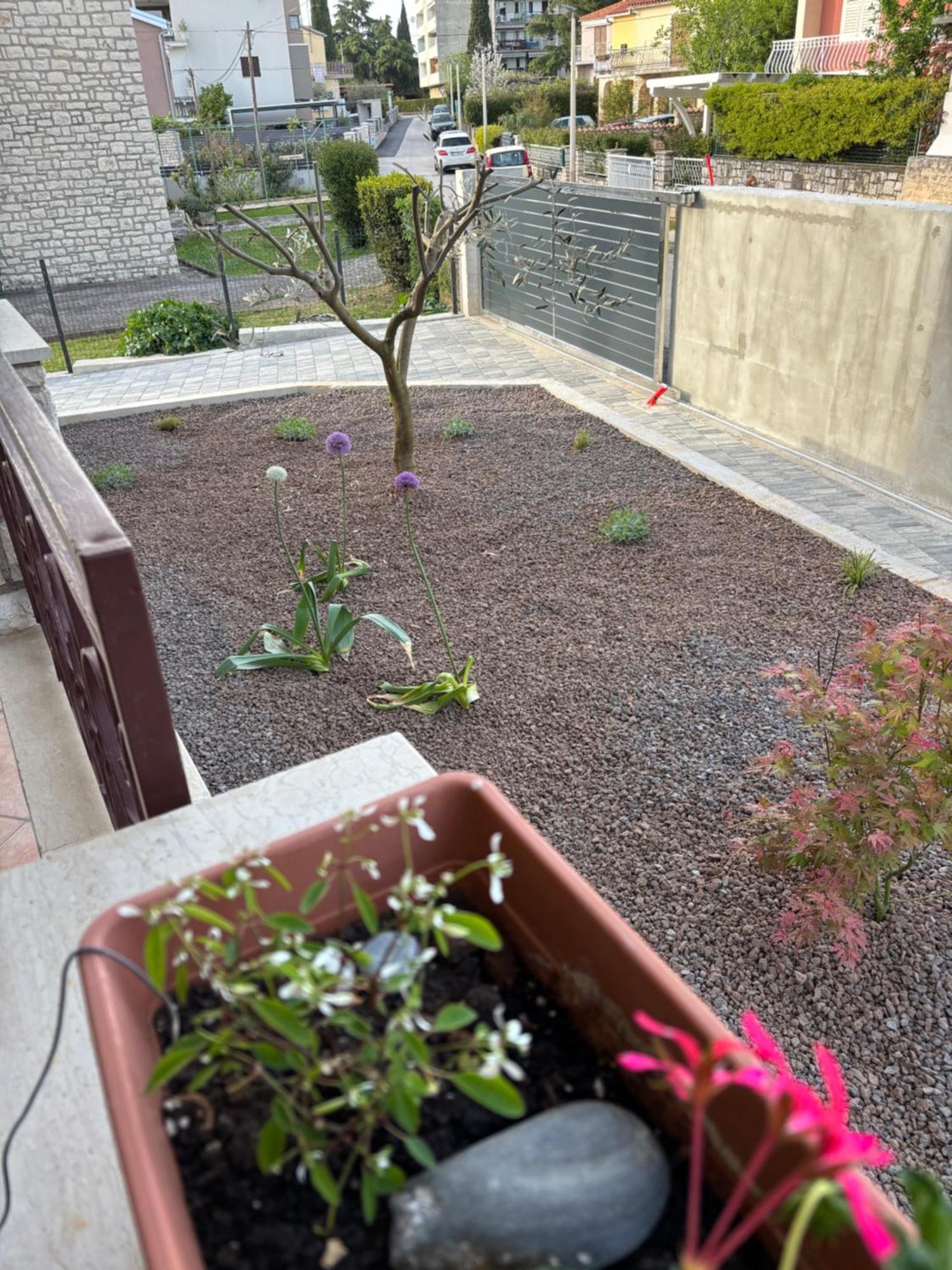 Apartmani Darko Rovinj Exterior foto